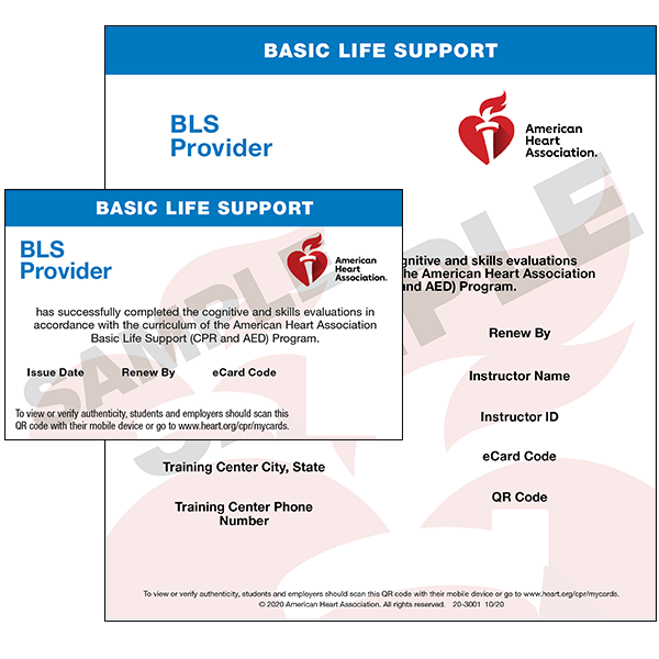 Home  BLS/First Aid Travelers